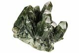 Pristine, Prase Quartz Crystal Cluster - Mongolia #112195-3